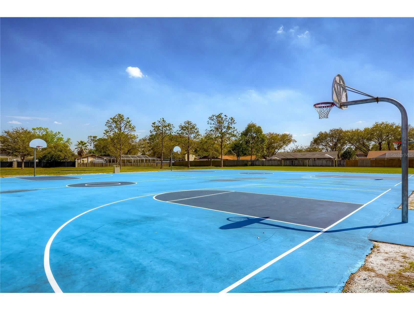 3805 Bell Grande Drive Valrico FL 33596 TB8442361 image35