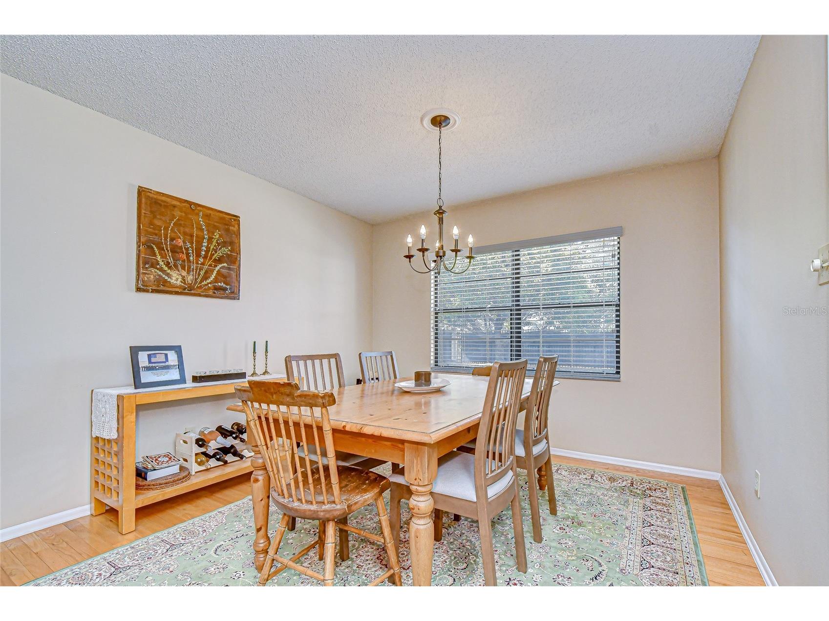 3805 Bell Grande Drive Valrico FL 33596 TB8442361 image8