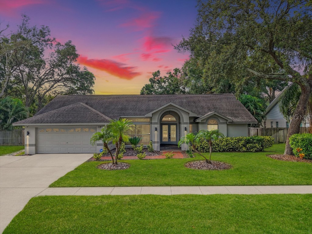 3805 Cliffdale Drive Valrico FL 33594 TB8437707 image1