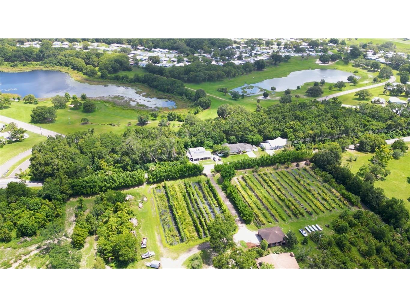 3805 Cohen Drive Zellwood FL 32798 S5130233 image2