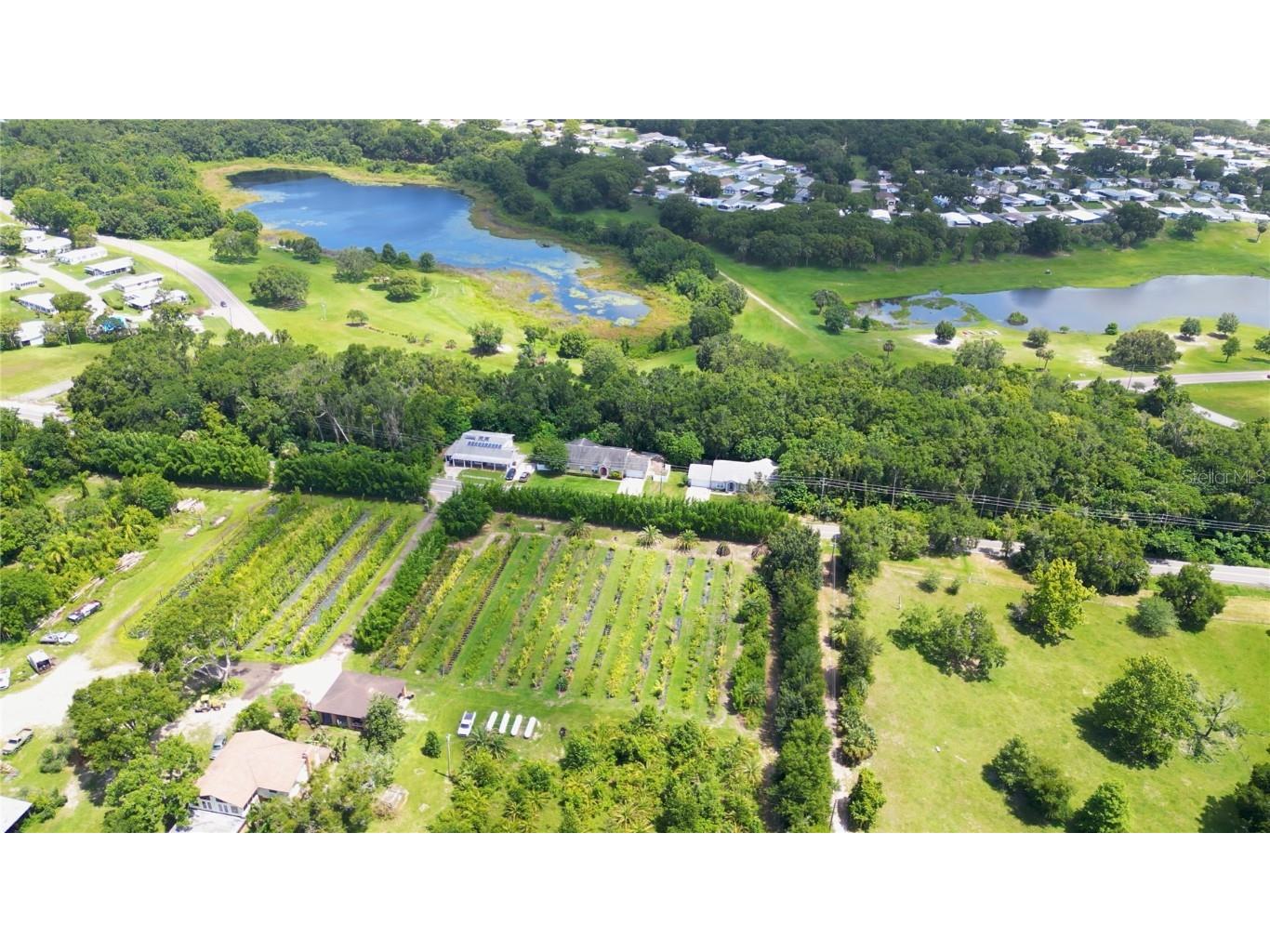 3805 Cohen Drive Zellwood FL 32798 S5130233 image3