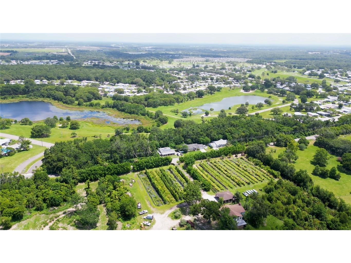 3805 Cohen Drive Zellwood FL 32798 S5130233 image6