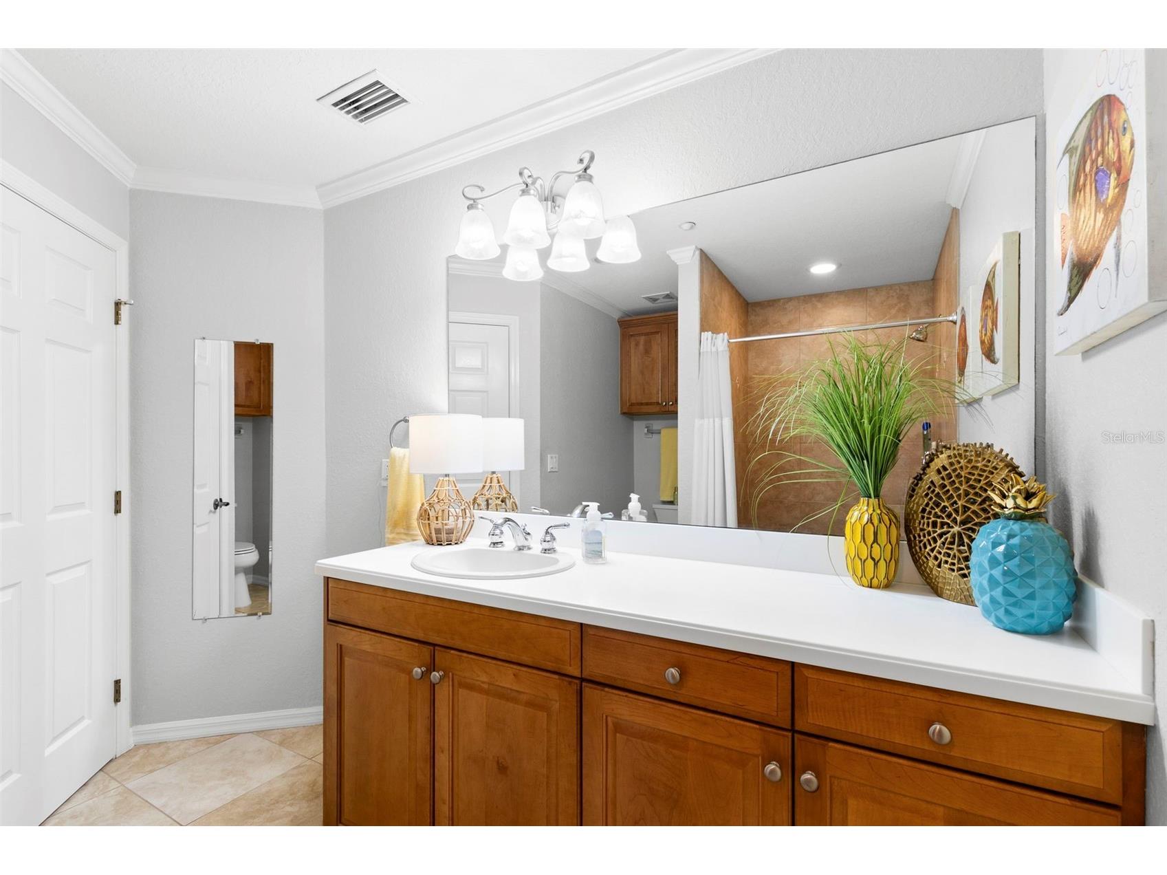 3805 Gulf Boulevard #401 Saint Pete Beach FL 33706 TB8403264 image22