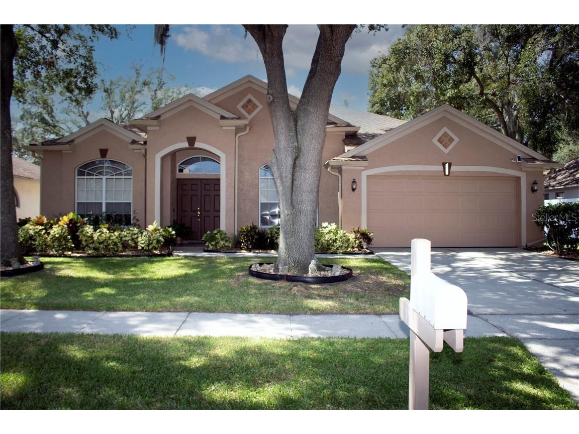 3805 Hollow Wood Drive Valrico FL 33596 U8213710 image1