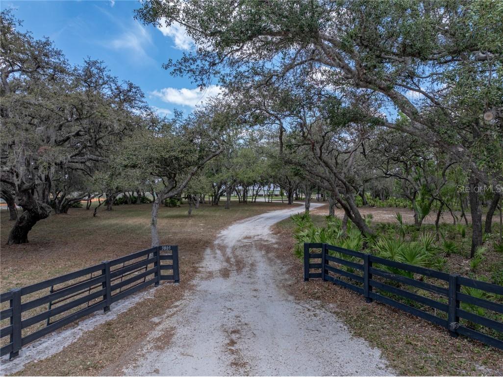 3805 Mammoth Grove Road Lake Wales FL 33898 P4934705 image2