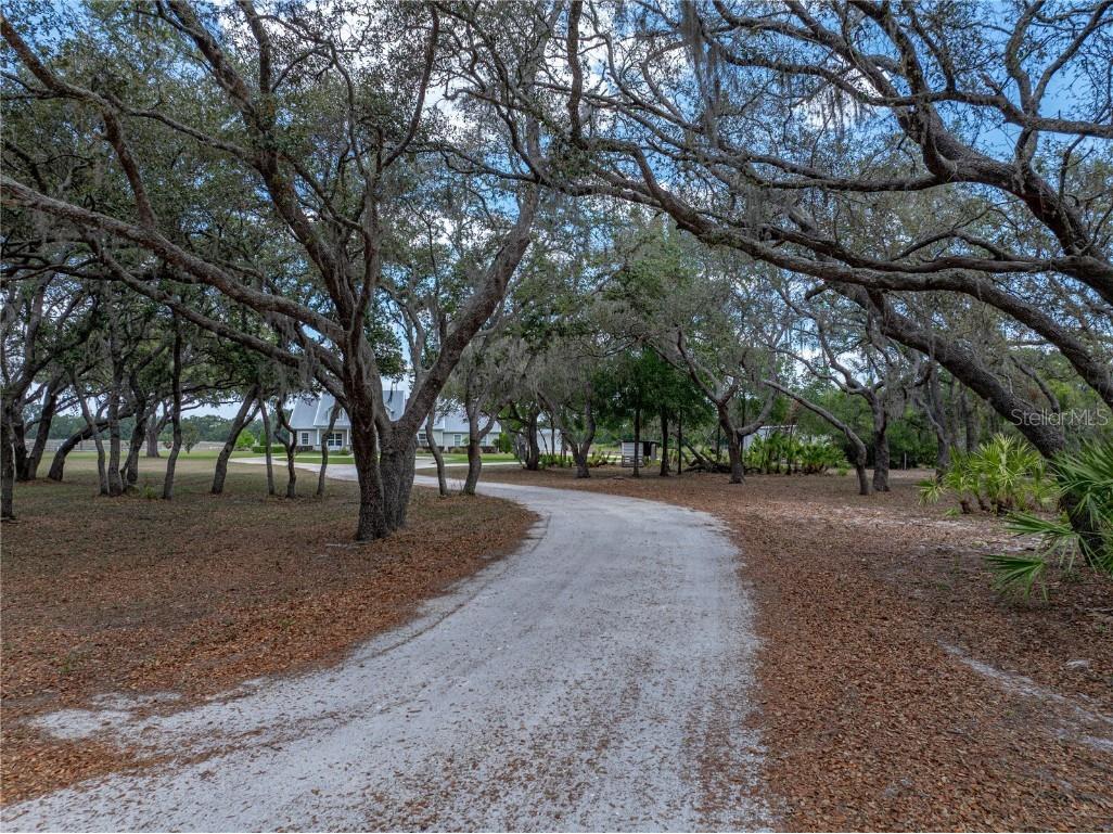 3805 Mammoth Grove Road Lake Wales FL 33898 P4934705 image3