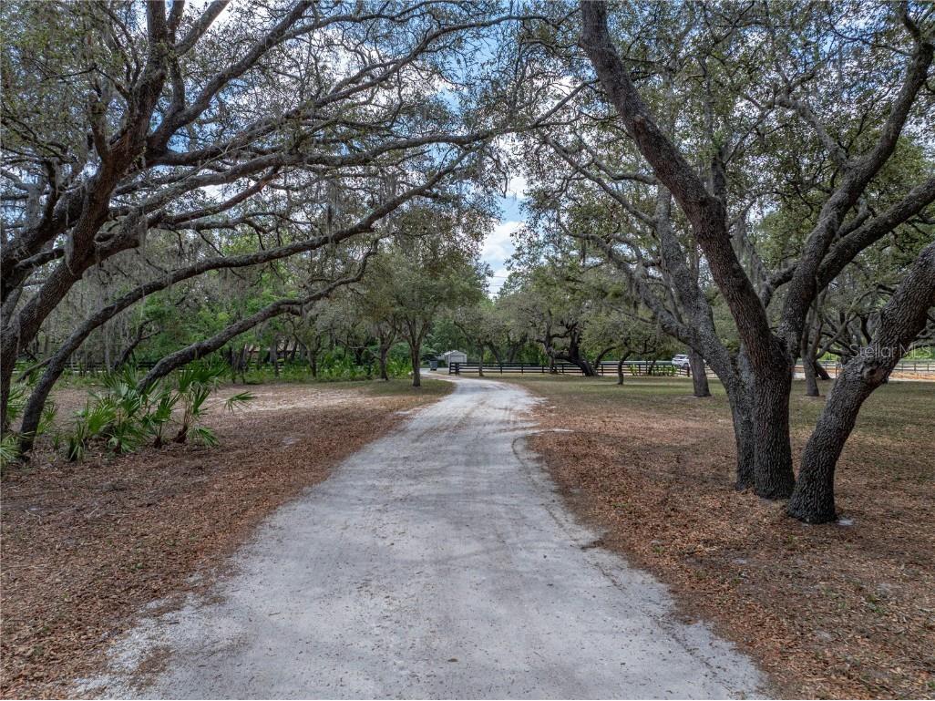 3805 Mammoth Grove Road Lake Wales FL 33898 P4934705 image69