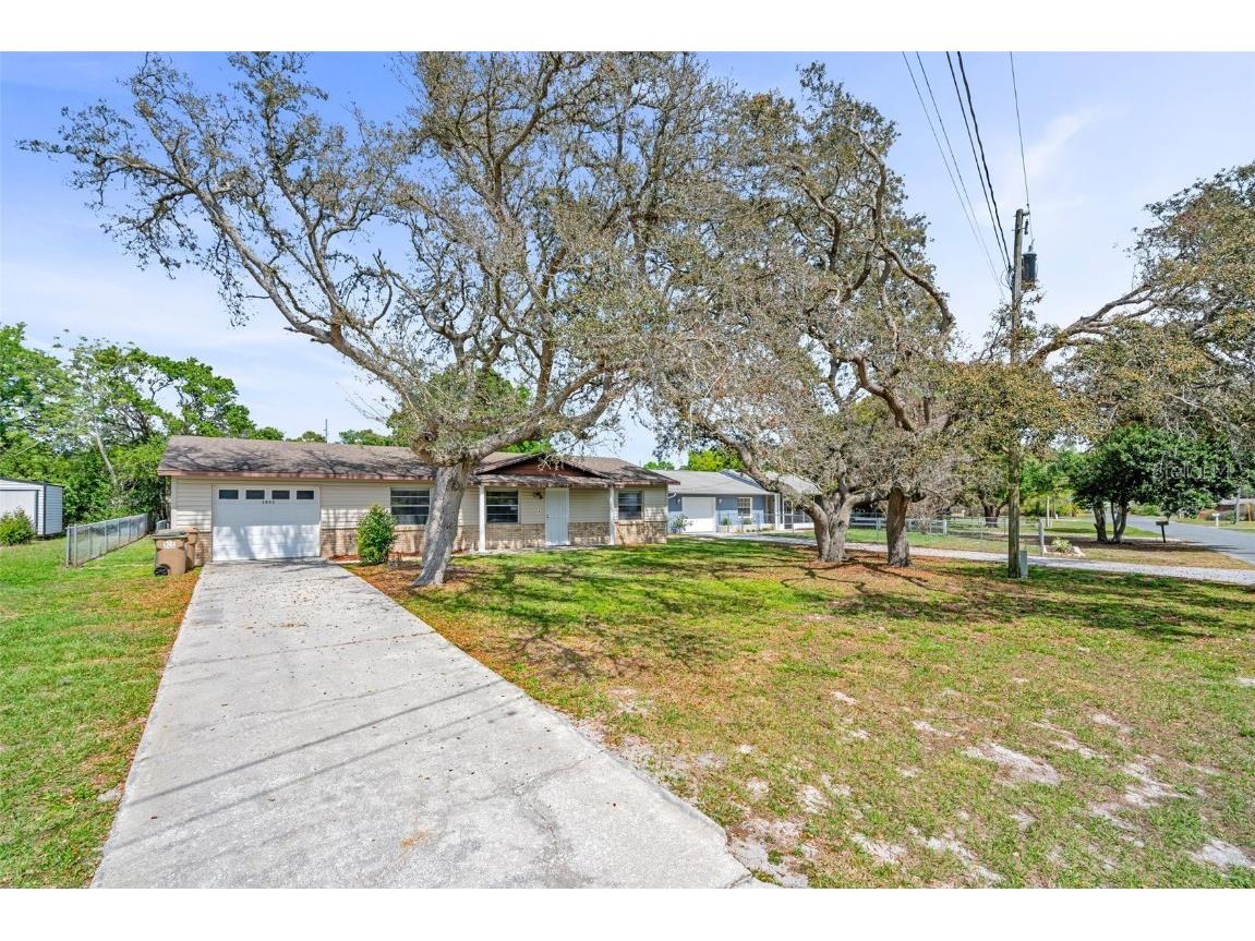 3805 Ohio Avenue Mount Dora FL 32757 OM674409 image1