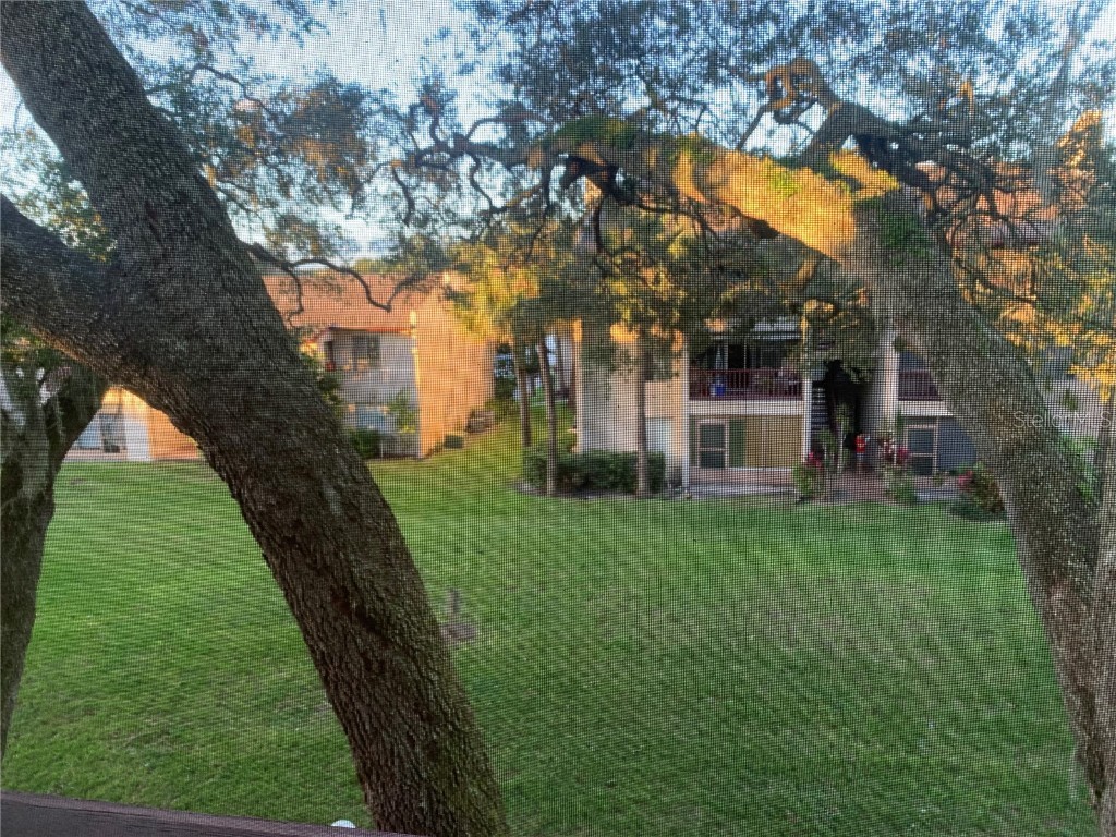 3805 S Lake Drive #244 Tampa FL 33614 U8185305 image1