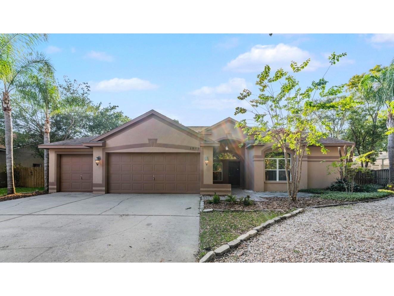 3805 Saddle Ridge Street Valrico FL 33596 T3521420 image1