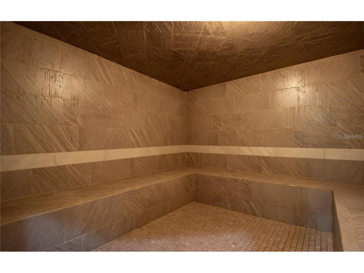 3805 Scarborough Court Clermont FL 34711 TB8438091 image64