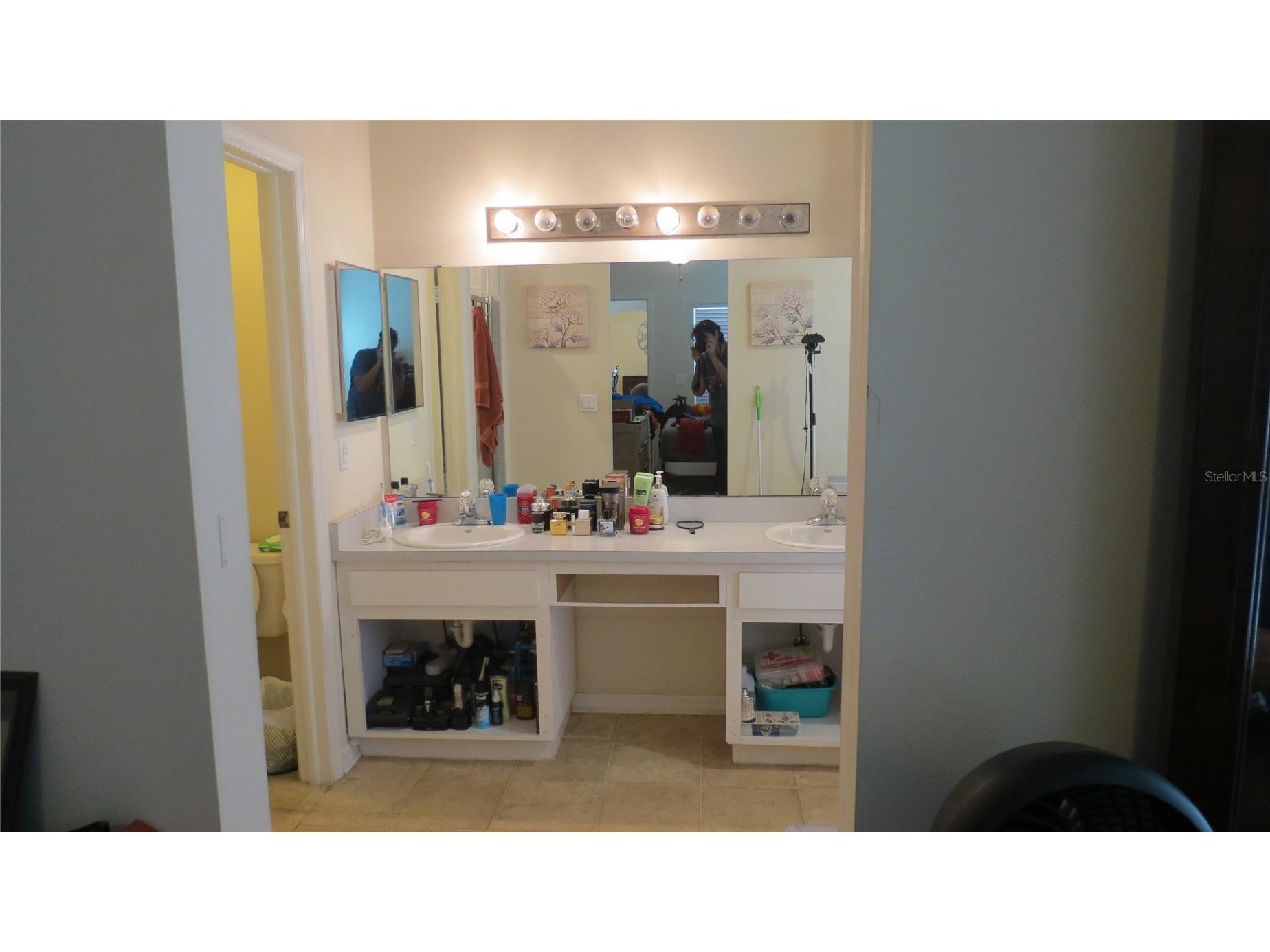 3805 Scovill Lane Valrico FL 33596 TB8441741 image7