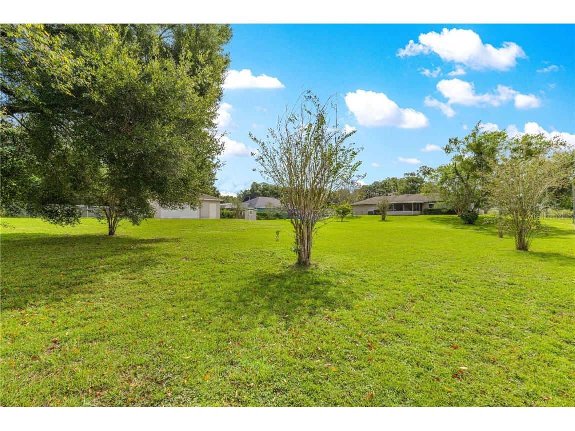 3805 SE 139th Street Summerfield FL 34491 OM711524 image33