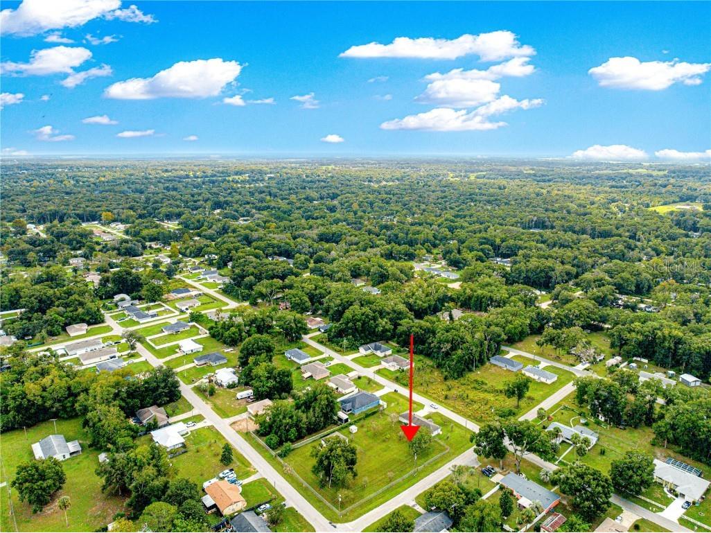 3805 SE 139th Street Summerfield FL 34491 OM711524 image48