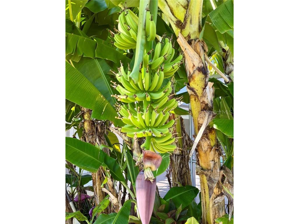 3805 SW 20th Place Cape Coral FL 33914 A4667954 image51