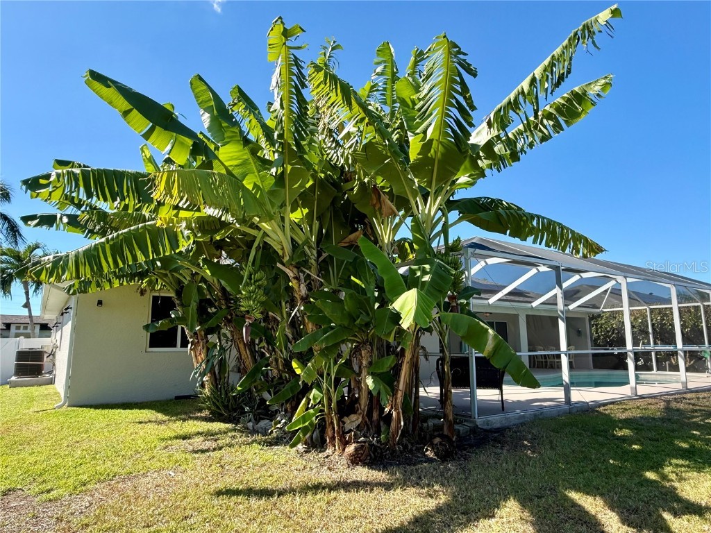 3805 SW 20th Place Cape Coral FL 33914 A4667954 image52