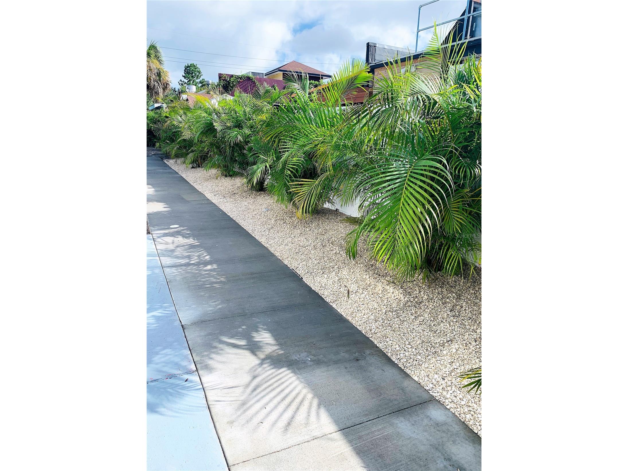 3805 W Leona Street #2 Tampa FL 33629 TB8519914 image10