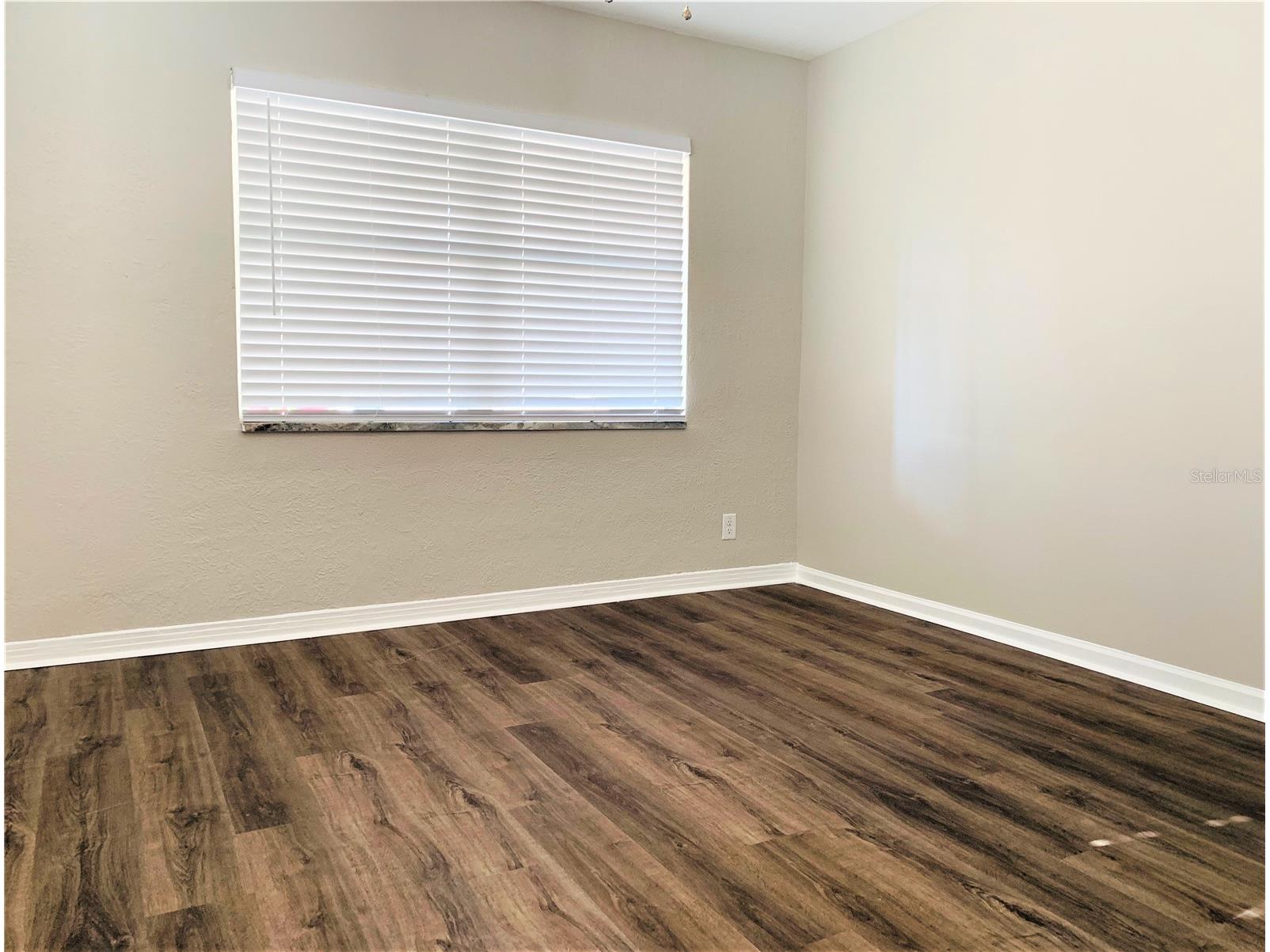 3805 W Leona Street #2 Tampa FL 33629 TB8519914 image5