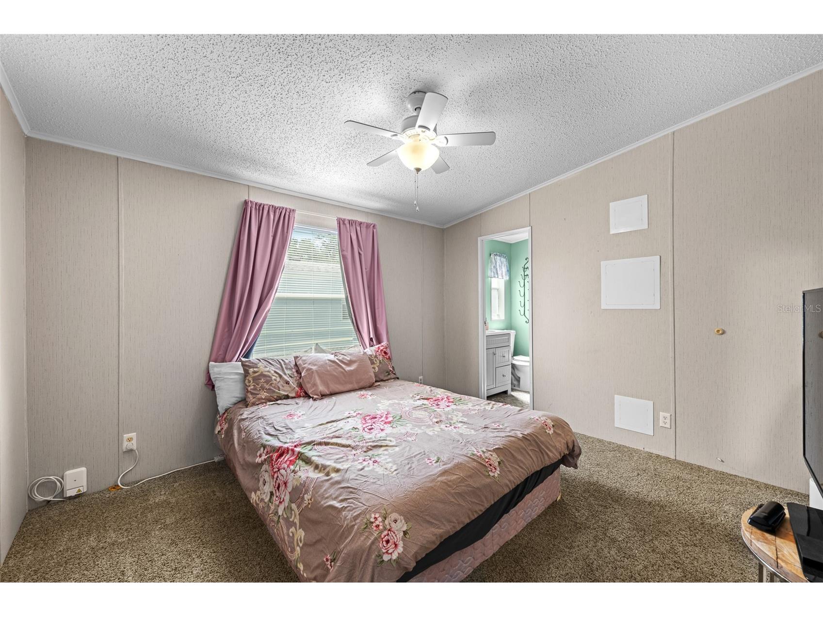 38052 Lawanda Loop Zephyrhills FL 33542 TB8503283 image21