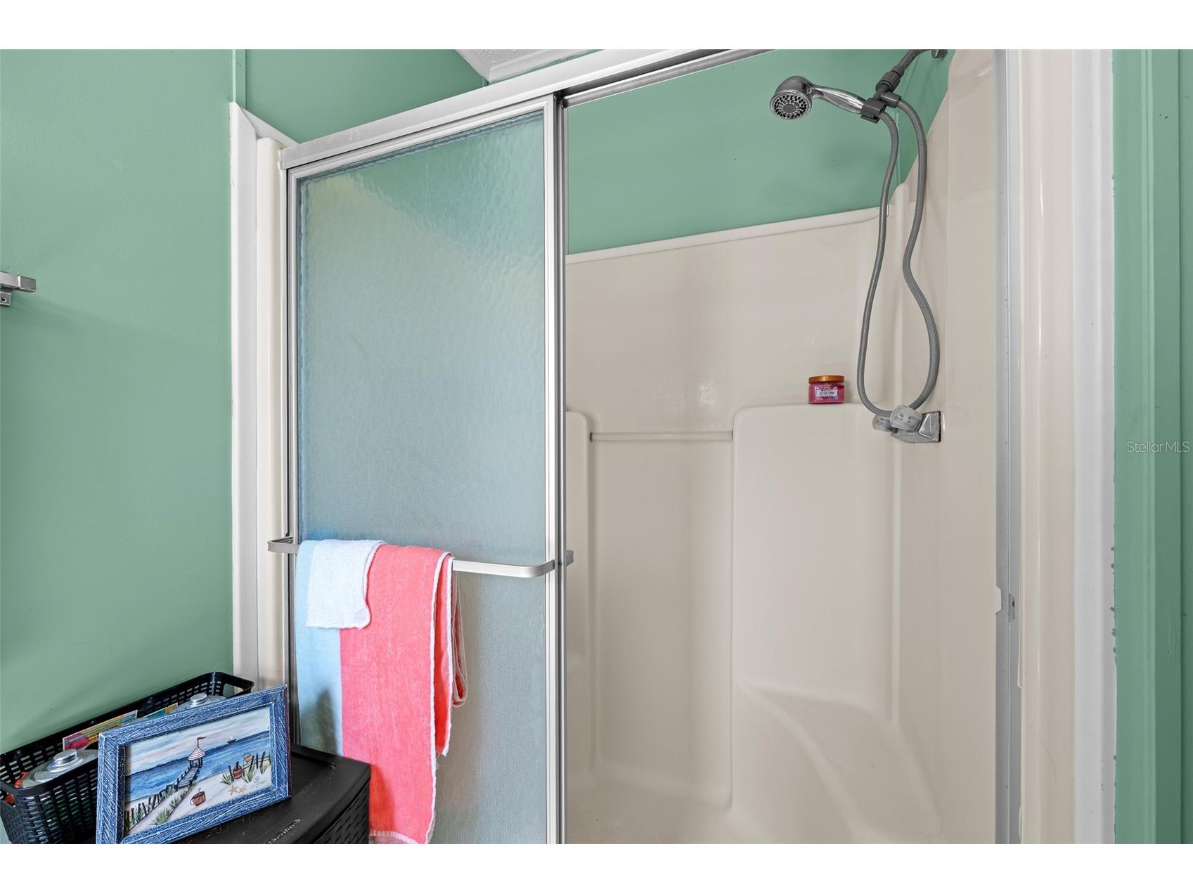 38052 Lawanda Loop Zephyrhills FL 33542 TB8503283 image24