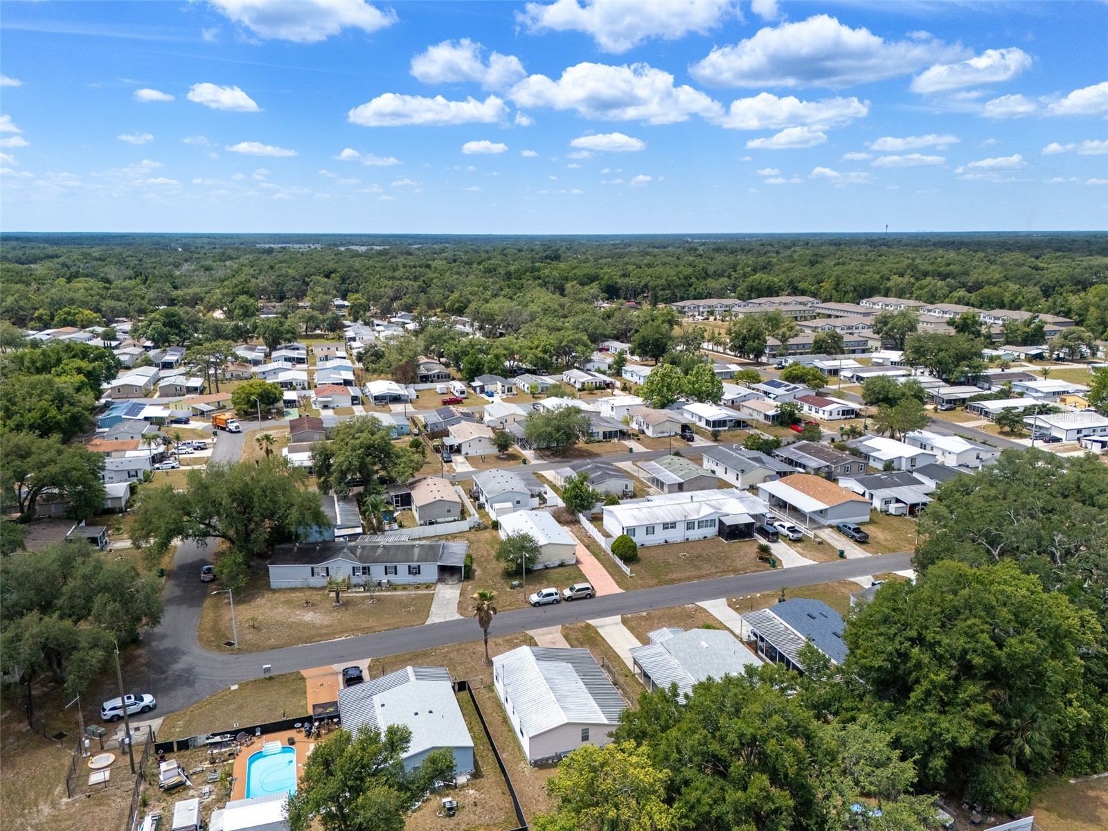 38052 Lawanda Loop Zephyrhills FL 33542 TB8503283 image36