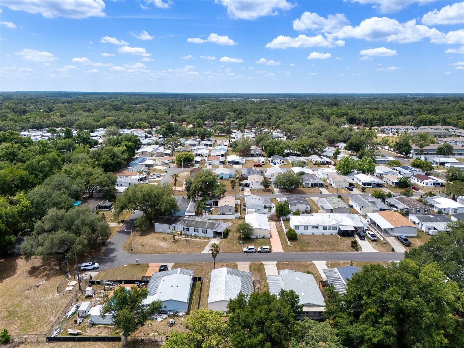 38052 Lawanda Loop Zephyrhills FL 33542 TB8503283 image37