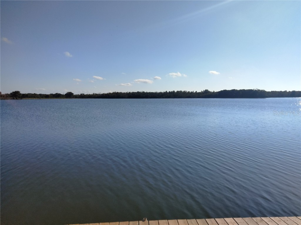 3806 Bywater Drive Holiday FL 34691 - LAKE CONELY TB8451933 image2