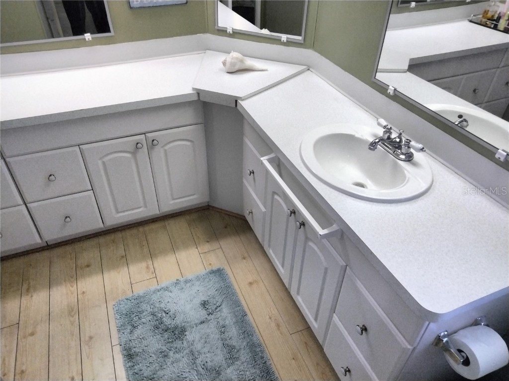 3806 Bywater Drive Holiday FL 34691 - LAKE CONELY TB8451933 image34