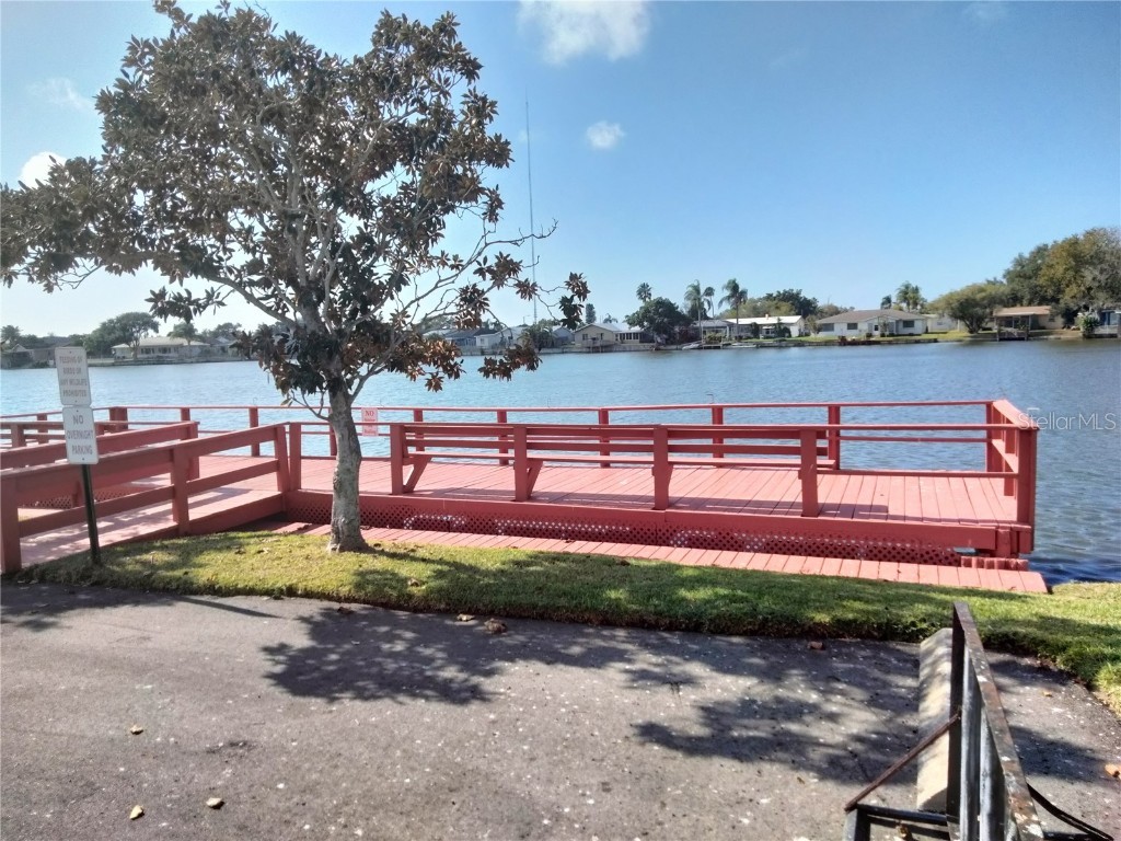 3806 Bywater Drive Holiday FL 34691 - LAKE CONELY TB8451933 image45