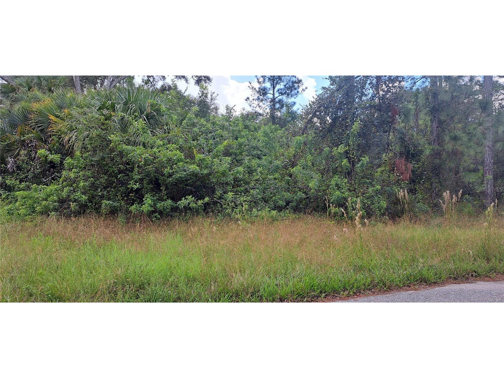 3806 E 13th Street Lehigh Acres FL 33972 C7498598 image2