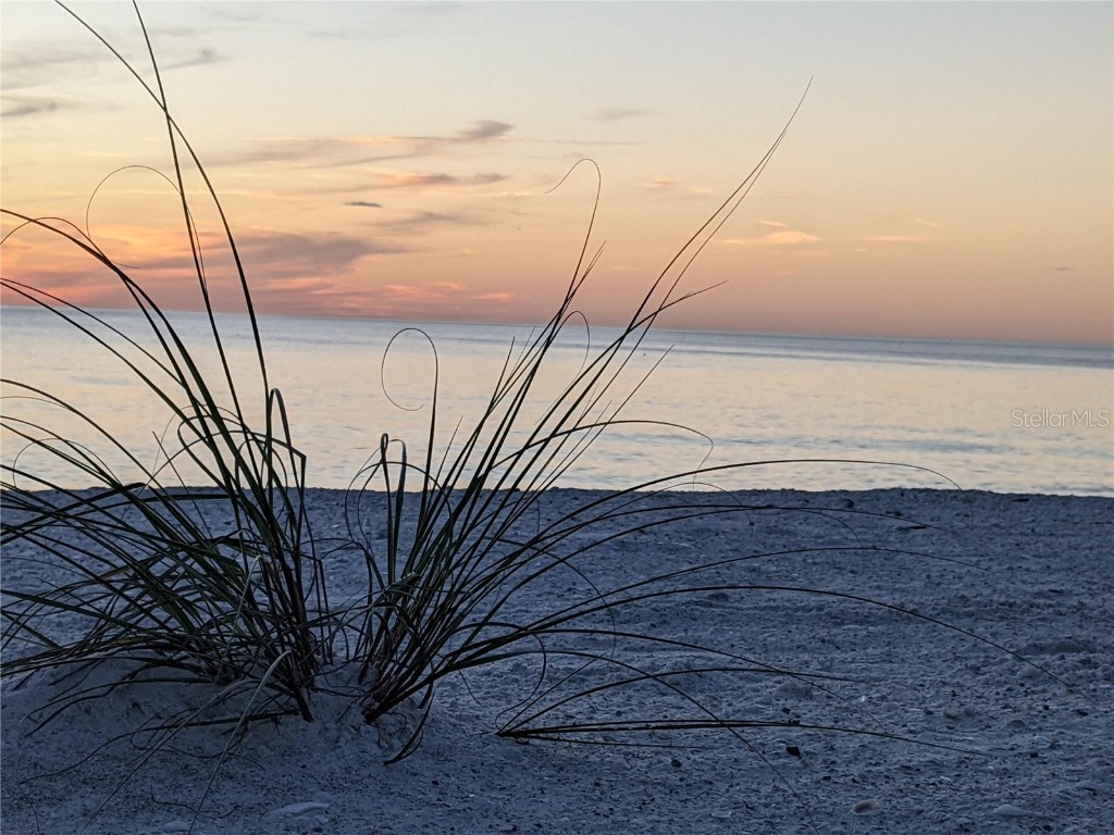 3806 Gulf Of Mexico Drive #C208 Longboat Key FL 34228 O6348714 image10