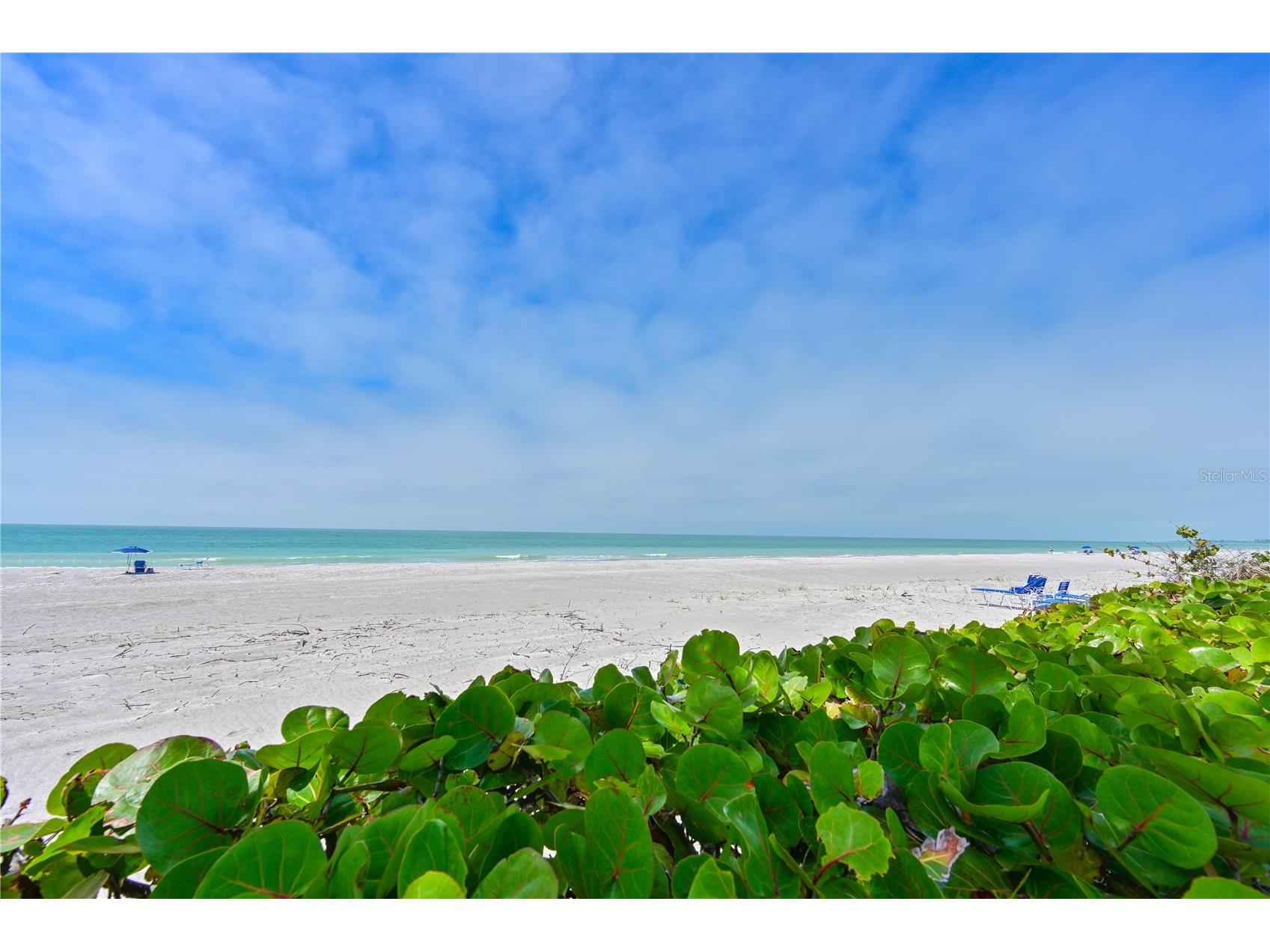 3806 Gulf Of Mexico Drive #C211 Longboat Key FL 34228 A4685515 image20