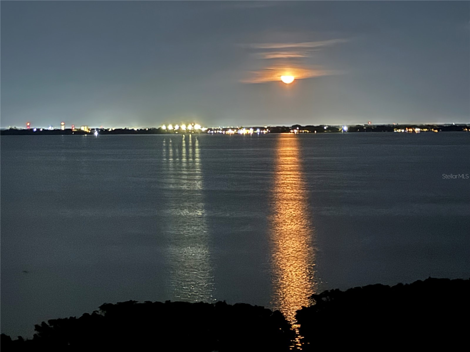 3806 Gulf Of Mexico Drive #C310 Longboat Key FL 34228 R4911020 image44