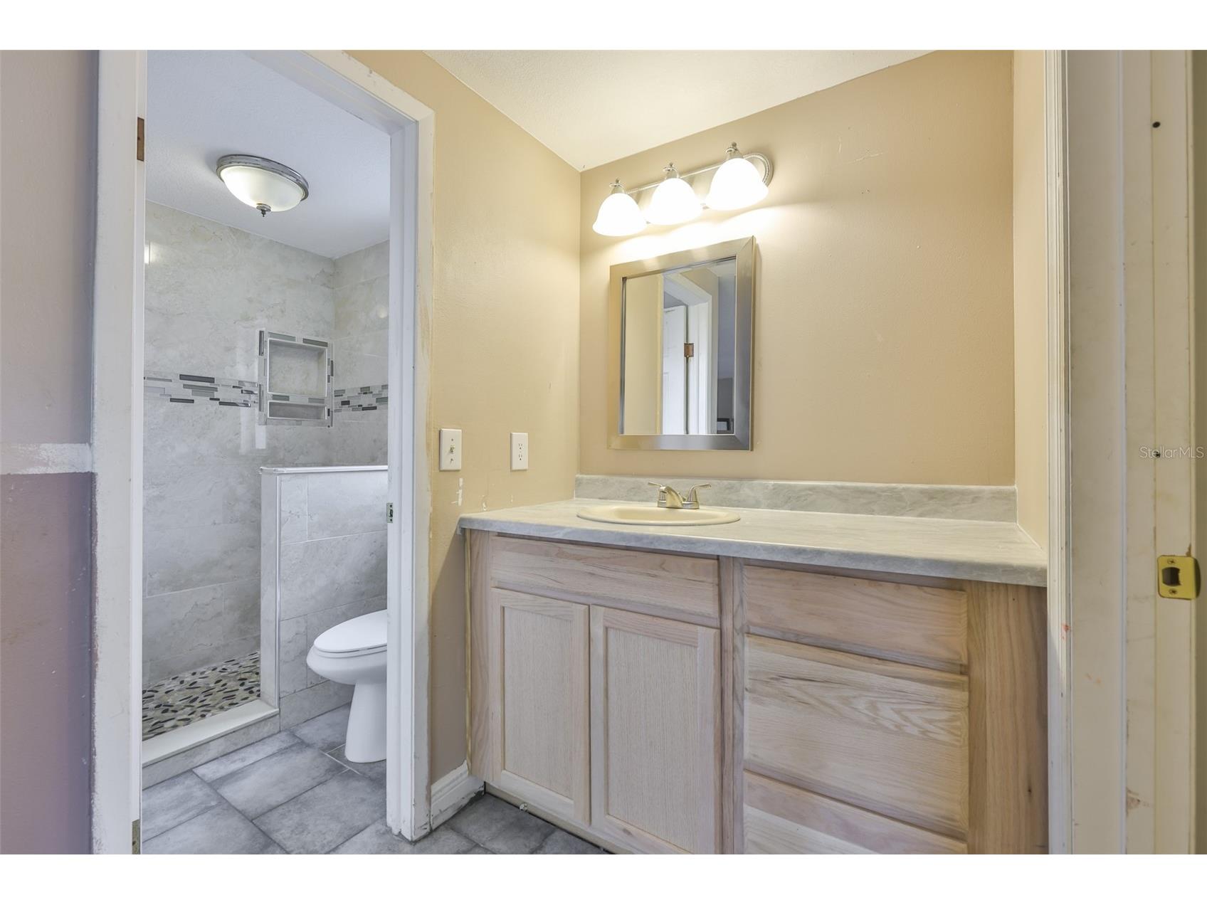 3806 Pinedale Street Brandon FL 33511 TB8461299 image24