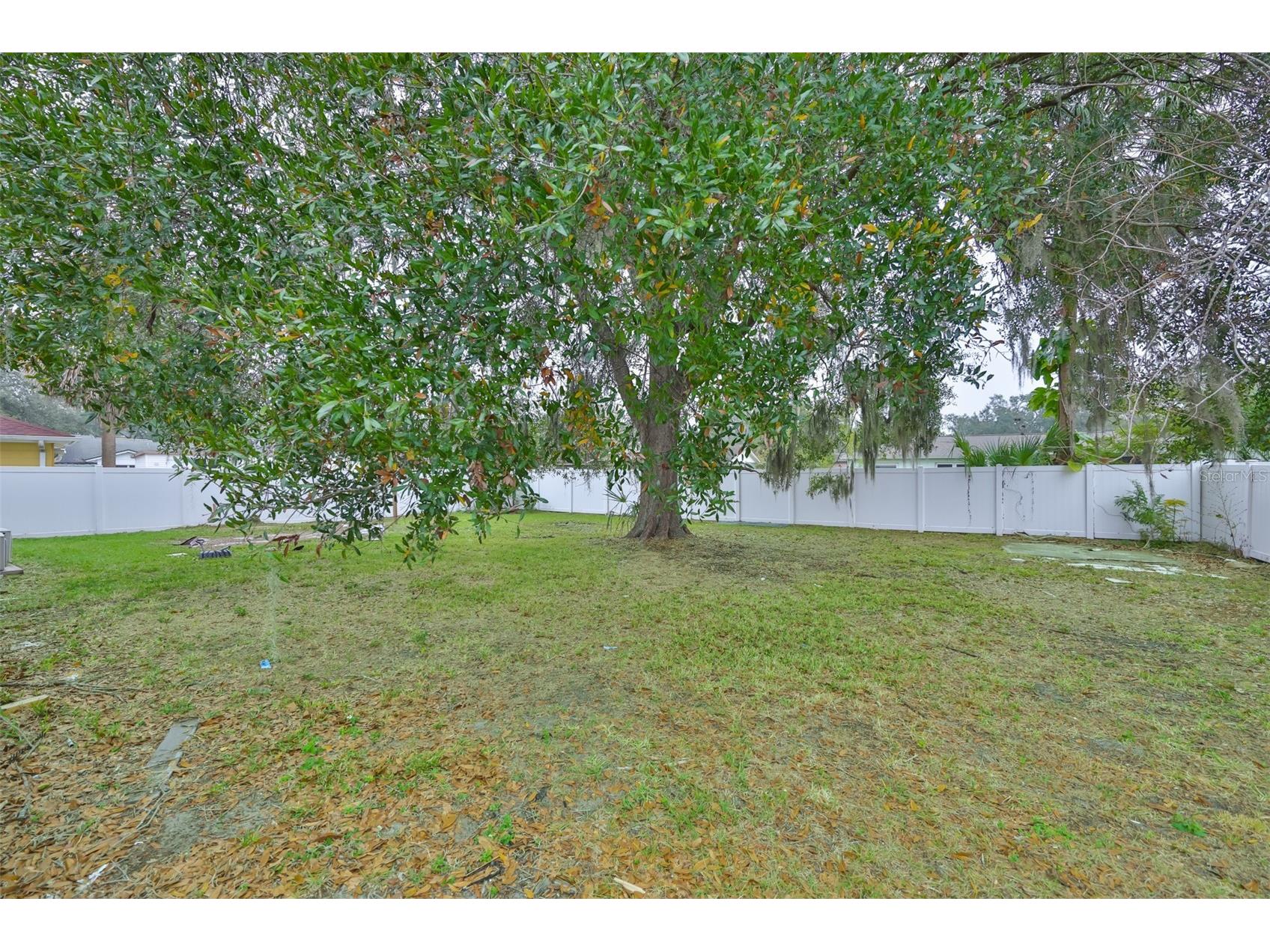3806 Pinedale Street Brandon FL 33511 TB8461299 image29