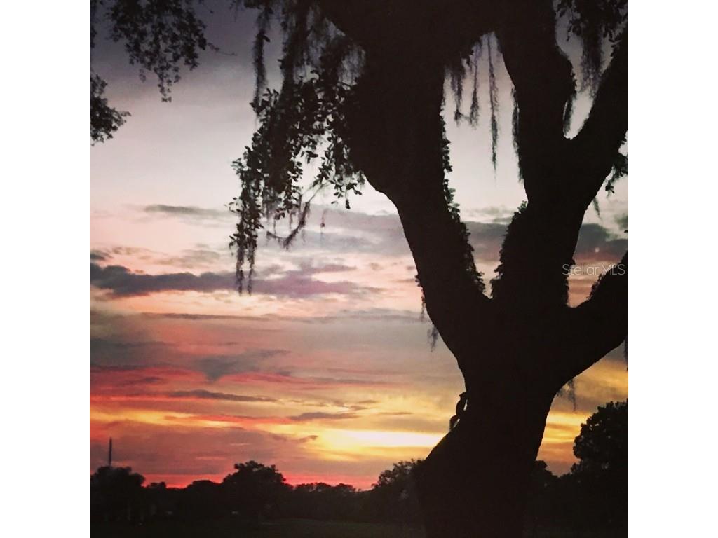 3806 Roxane Boulevard #161 Sarasota FL 34235 A4675238 image34