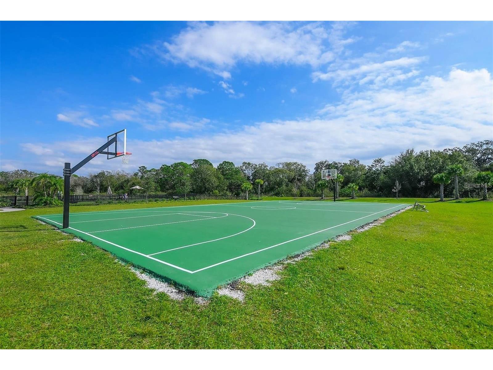 3806 Savanna Palms Court Lakewood Ranch FL 34211 A4695796 image50
