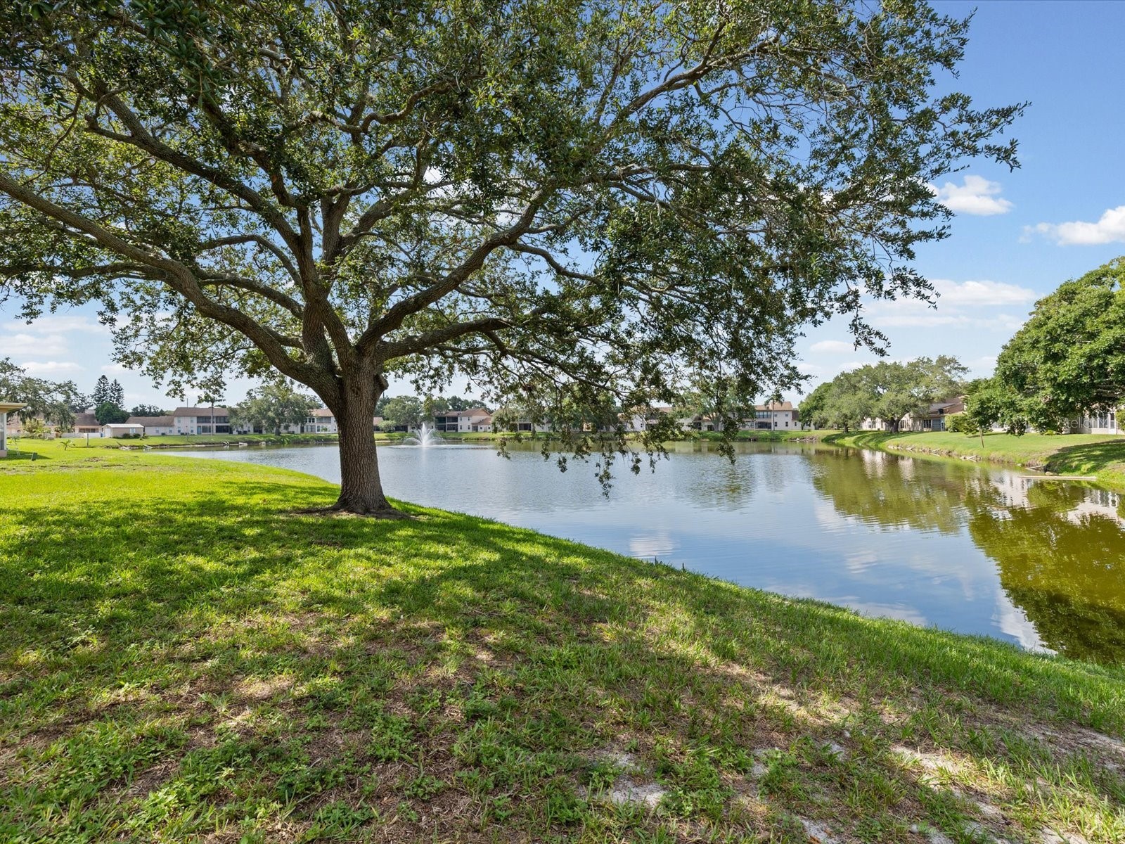 3806 Staysail Lane Holiday FL 34691 TB8531528 image6