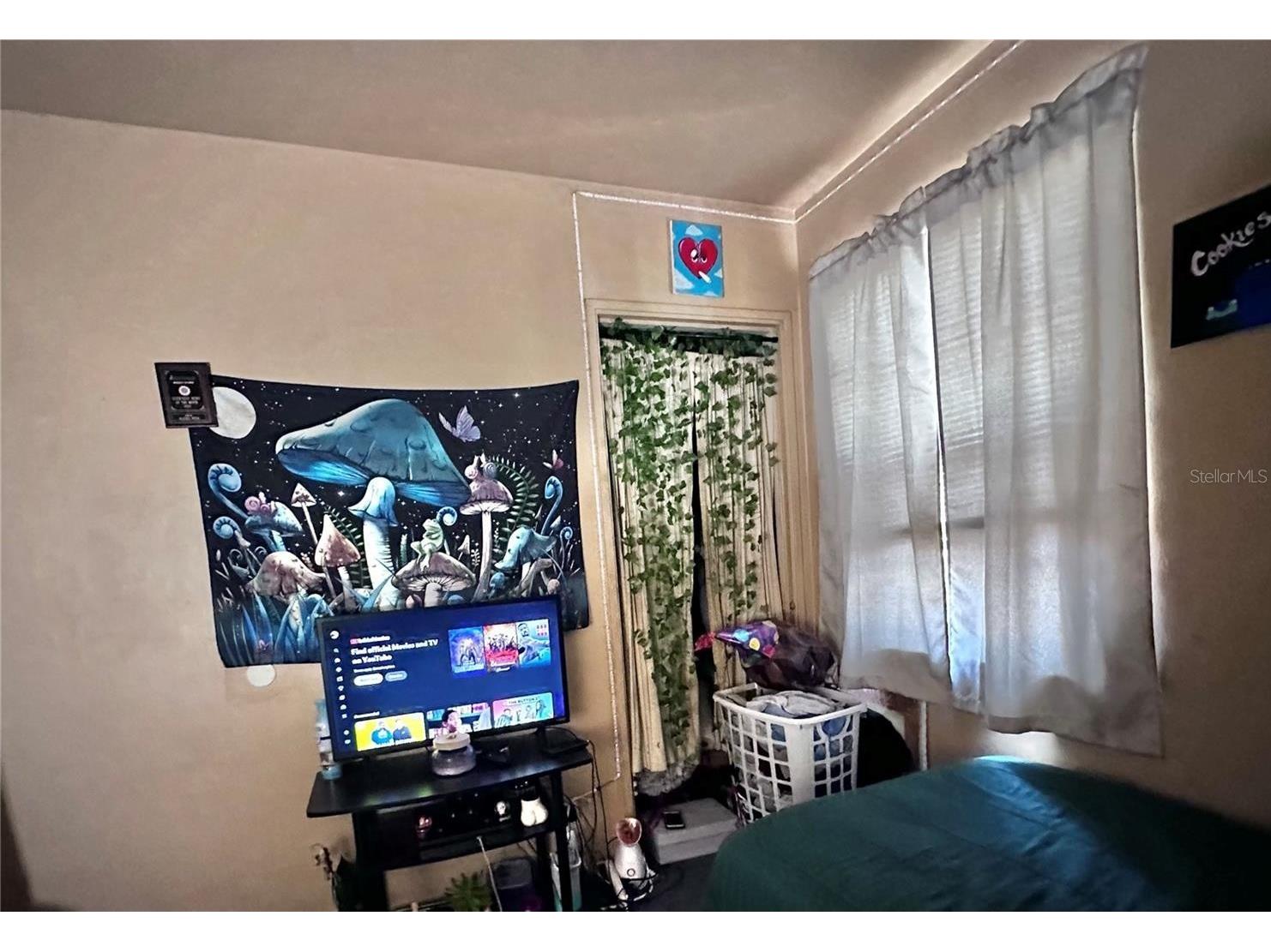 3806 W Wallace Avenue Tampa FL 33611 TB8482797 image4