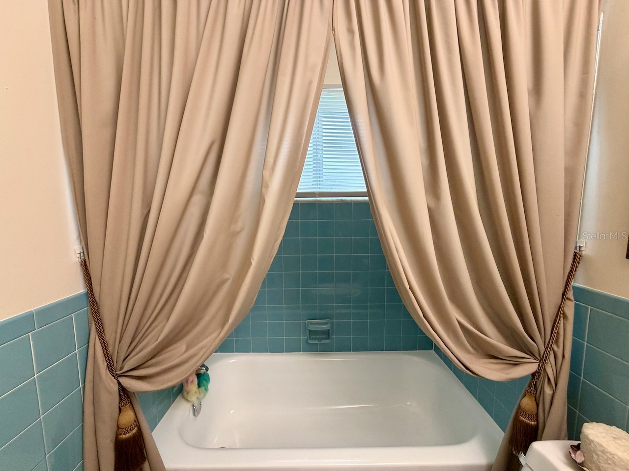 3807 99th Terrace N Pinellas Park FL 33782 TB8481210 image20