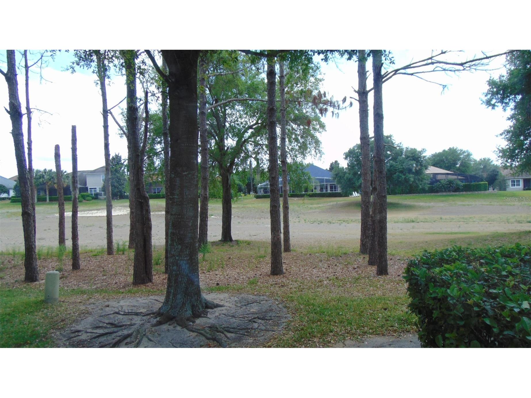 3807 Beacon Ridge Way Clermont FL 34711 S5148095 image2