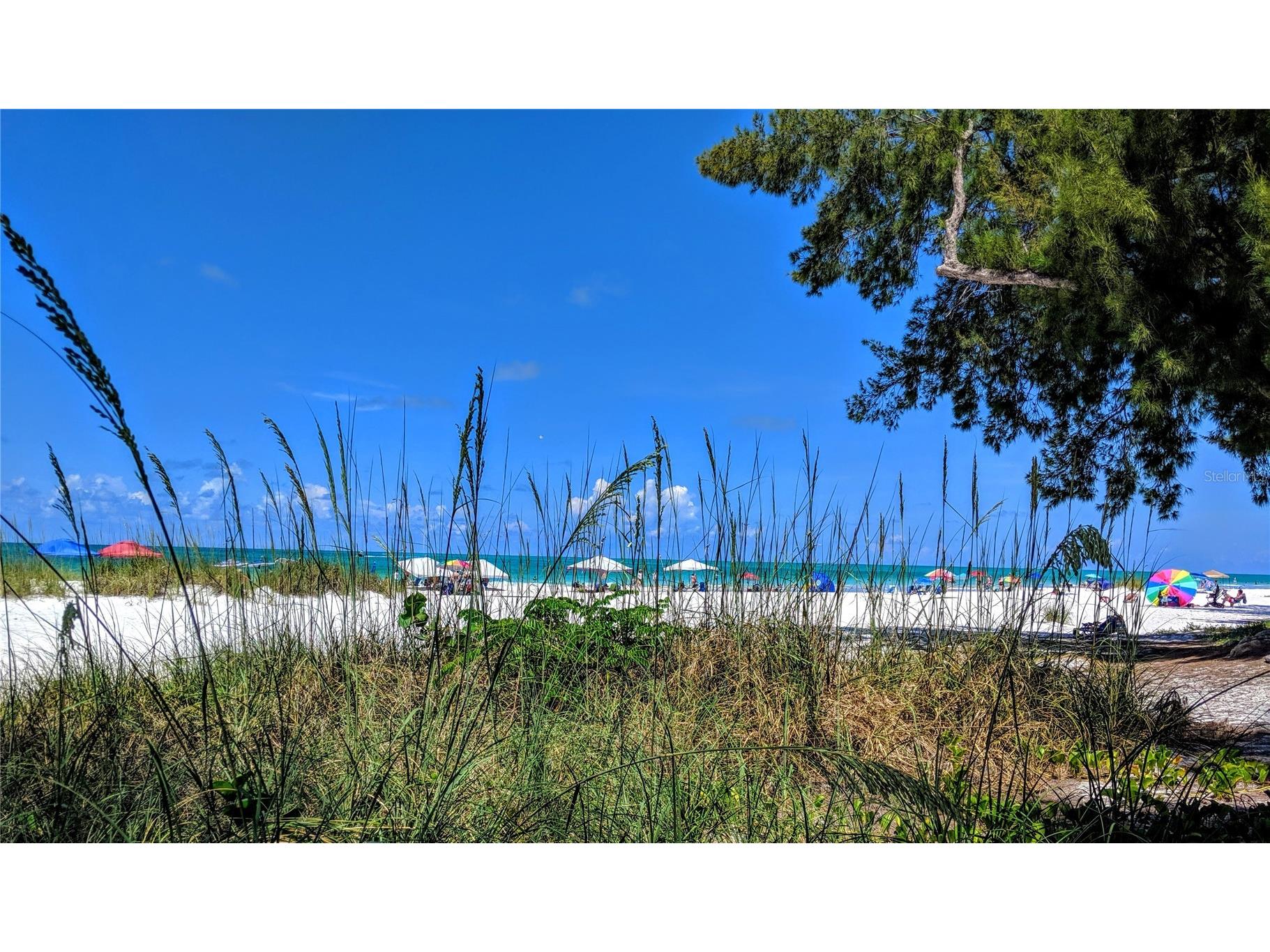 3807 Lake Bayshore Drive #H-416 Bradenton FL 34205 A4685814 image41