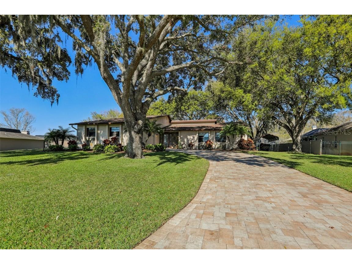 3807 Lake Joyce Drive Land O Lakes FL 34639 TB8356403 image1