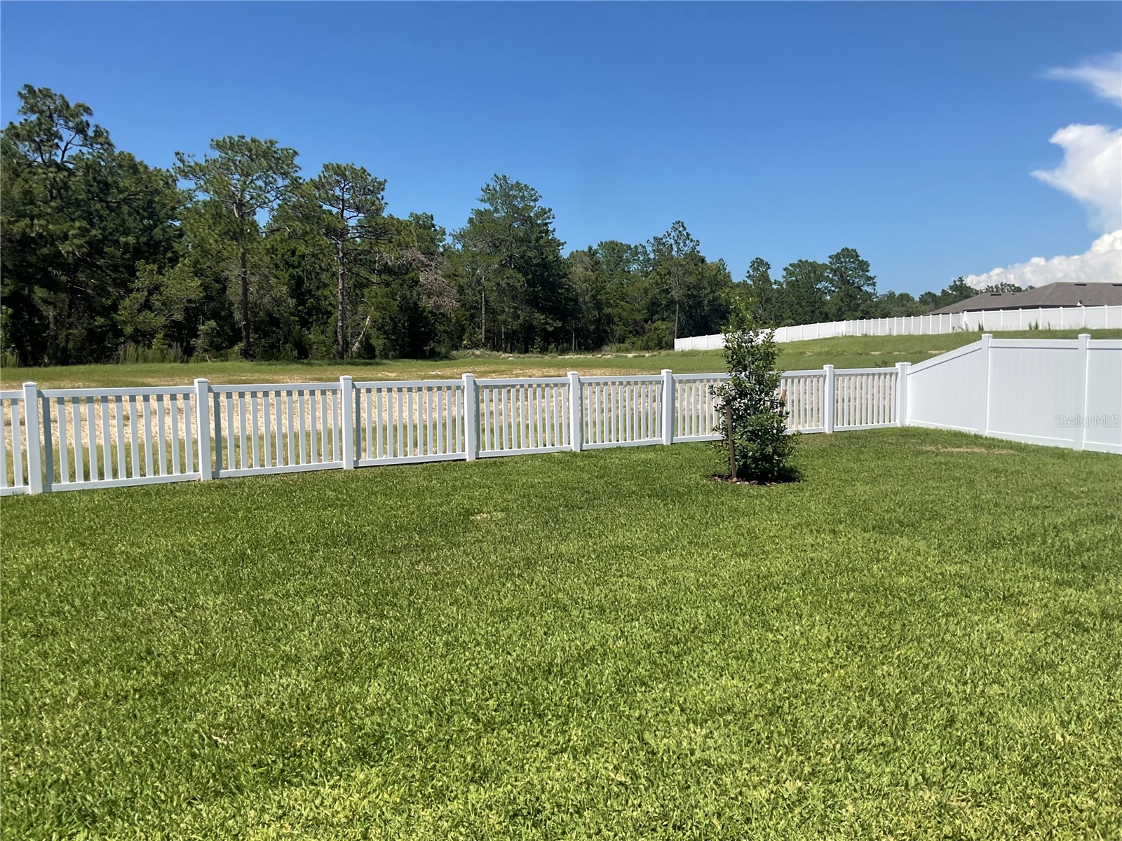 3808 Benham Rise Road Spring Hill FL 34609 G5114385 image5