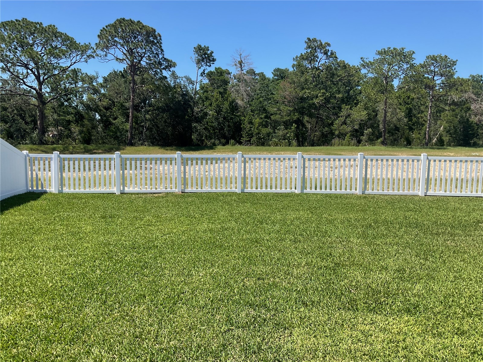 3808 Benham Rise Road Spring Hill FL 34609 G5114385 image6