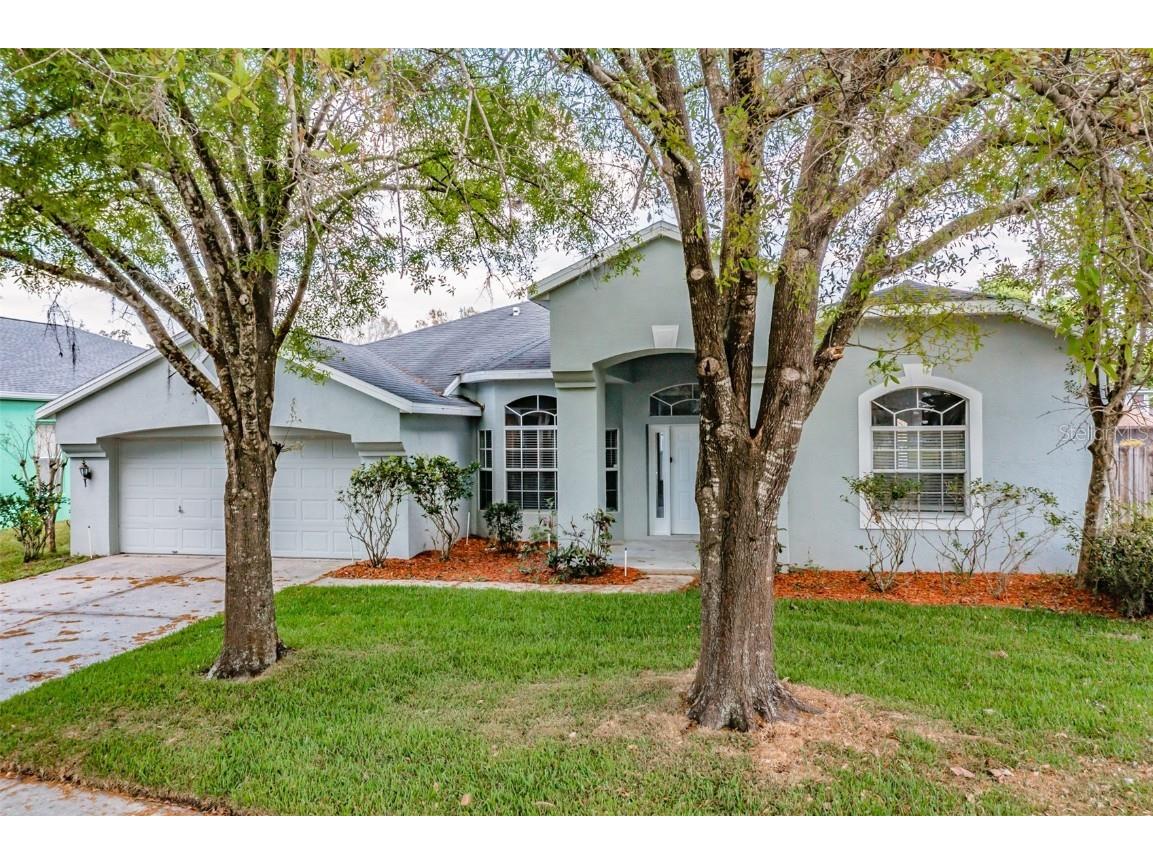 3808 Cold Creek Drive Valrico FL 33596 T3430889 image1