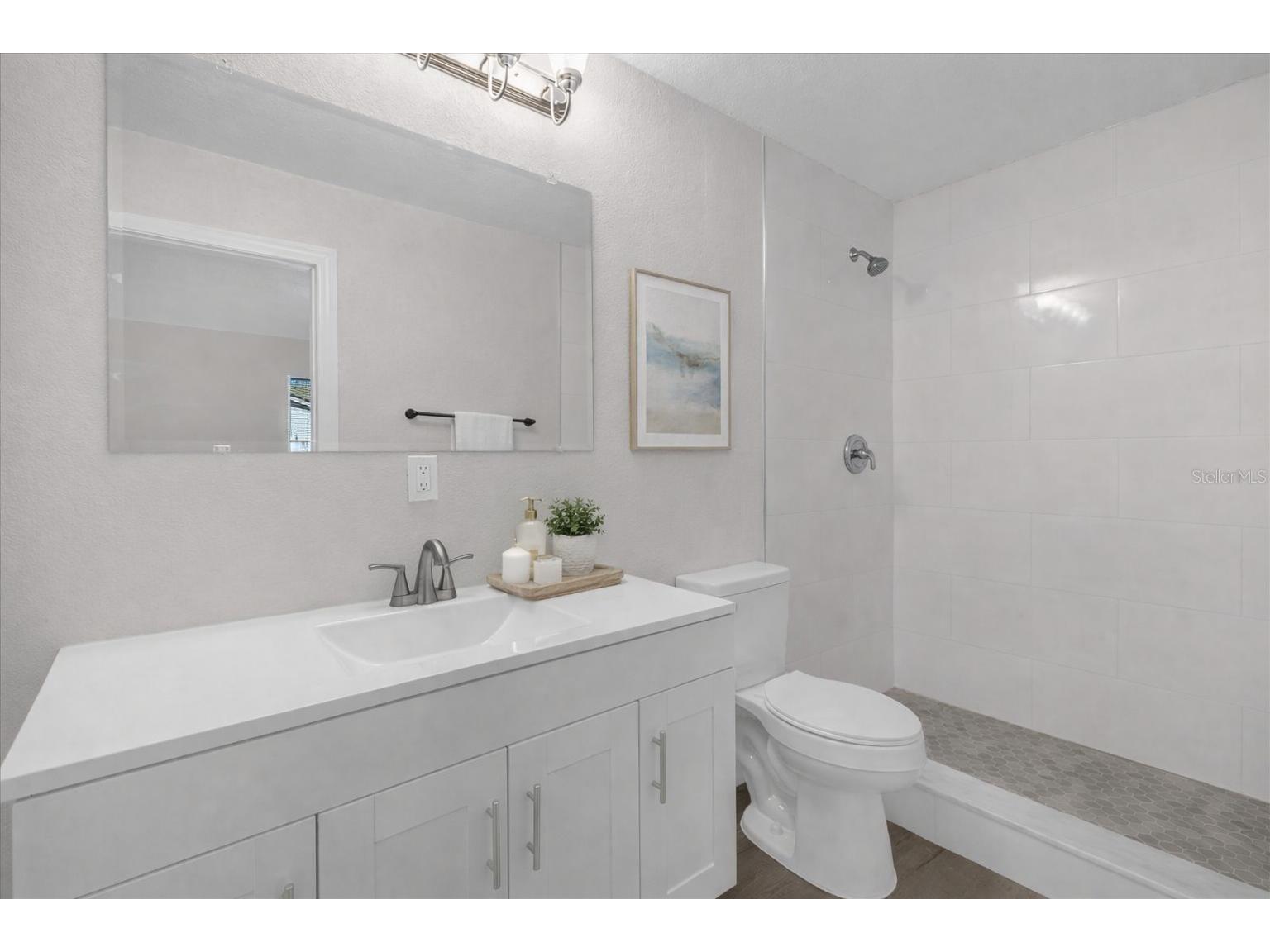 3808 Mohawk Drive Mount Dora FL 32757 S5145487 image11