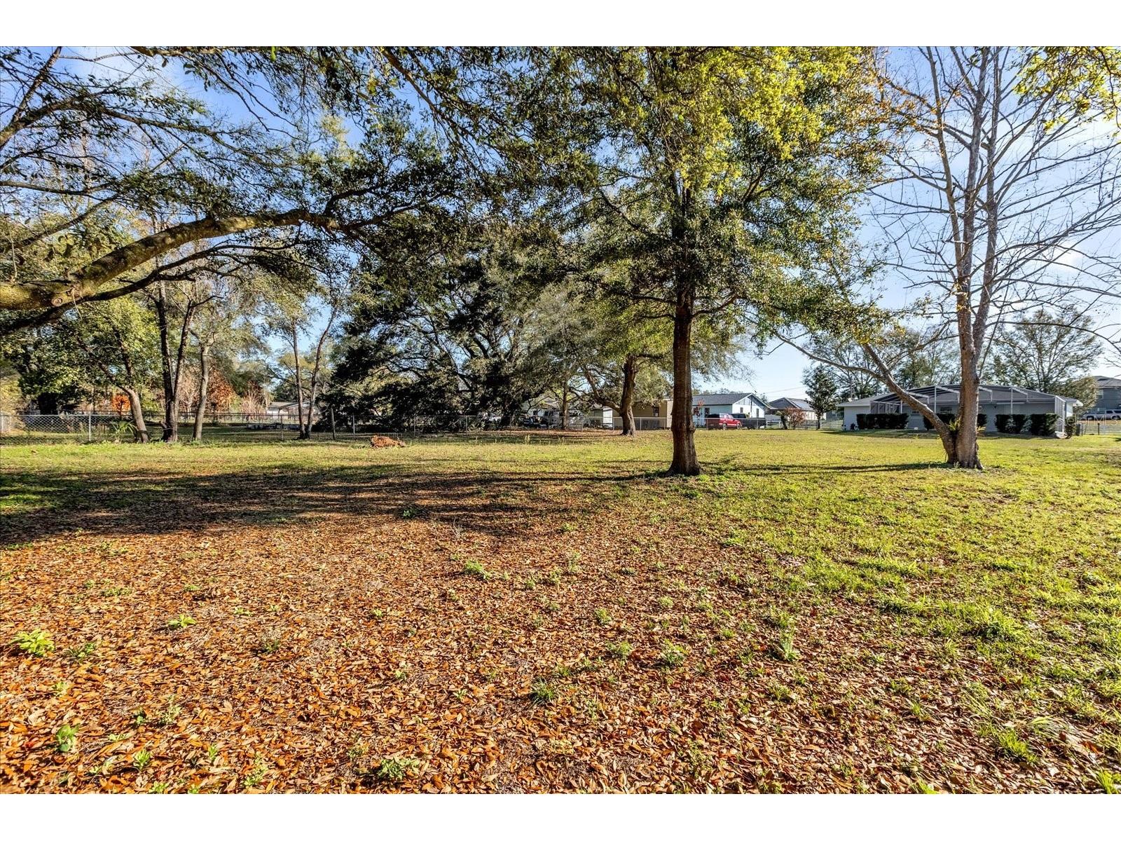 3808 Mohawk Drive Mount Dora FL 32757 S5145487 image23