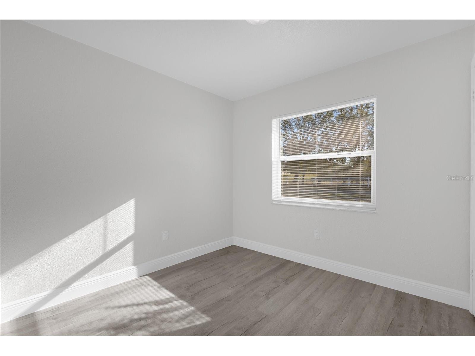 3808 Mohawk Drive Mount Dora FL 32757 S5145487 image8
