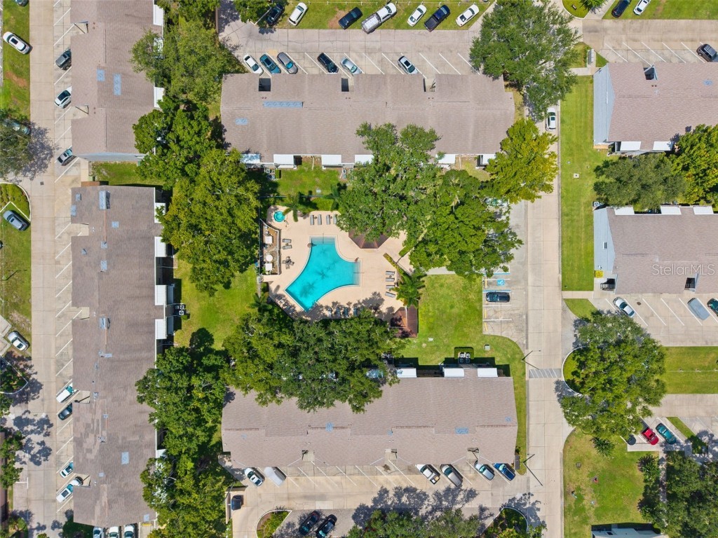 3808 N Oak Drive #U31 Tampa FL 33611 TB8420591 image39